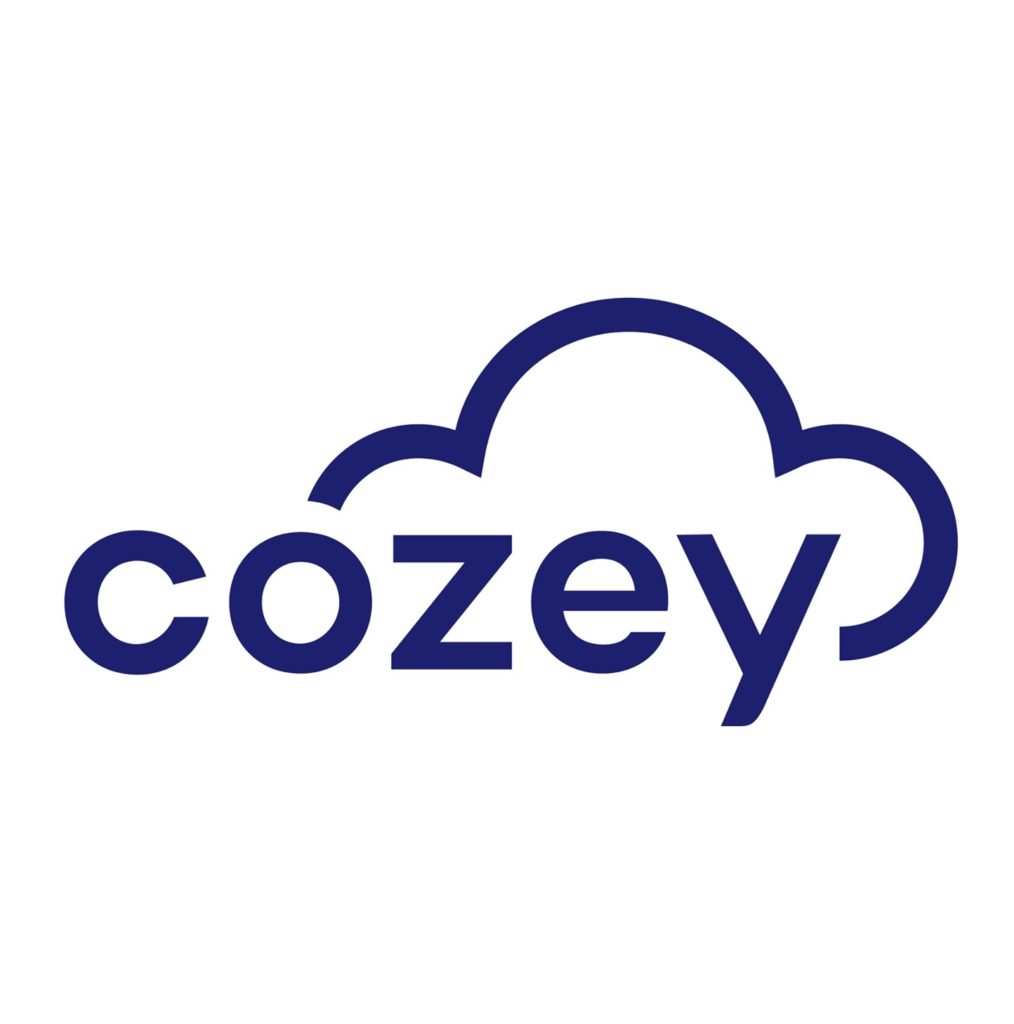 Cozey Sofa Review
