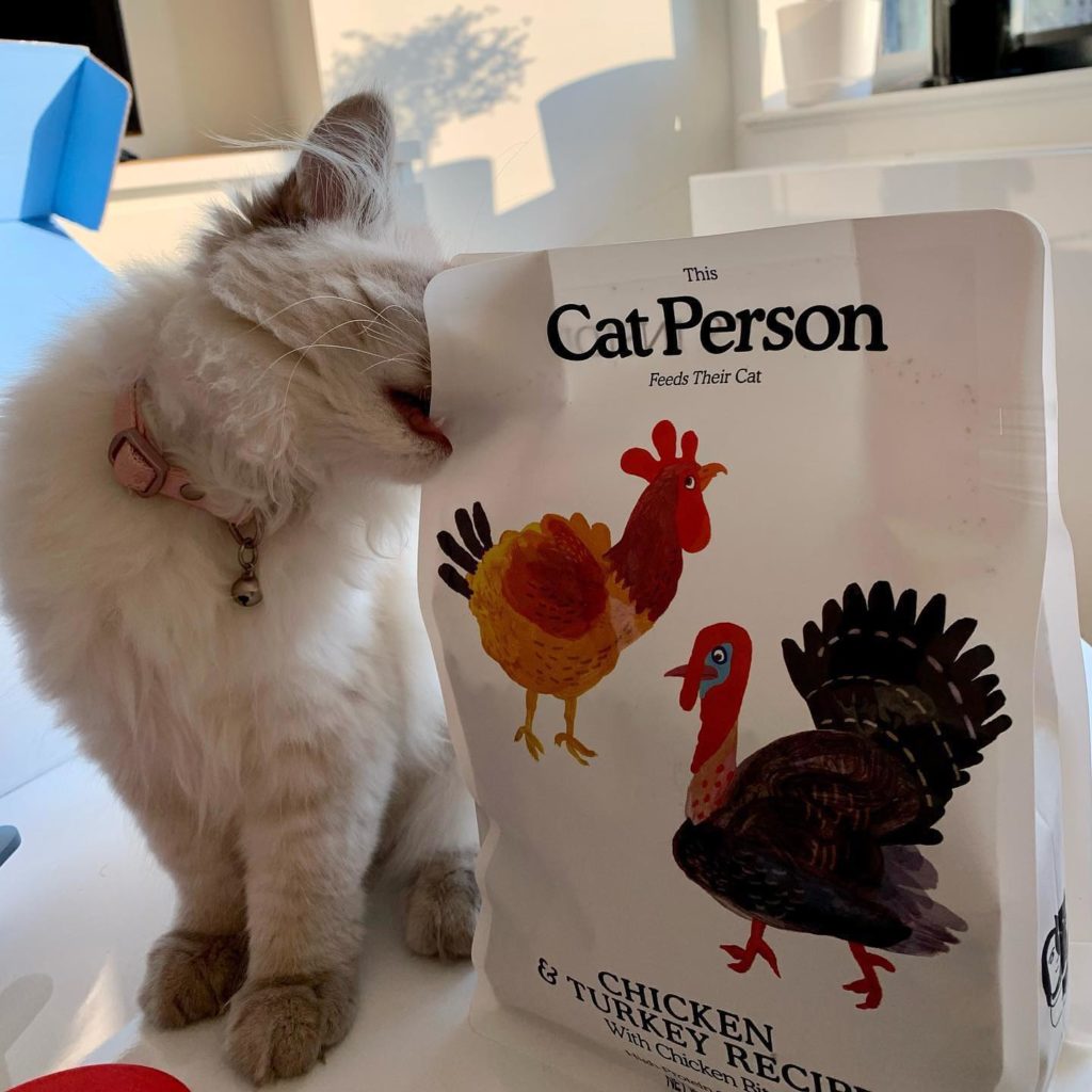 Cat Person Food Review