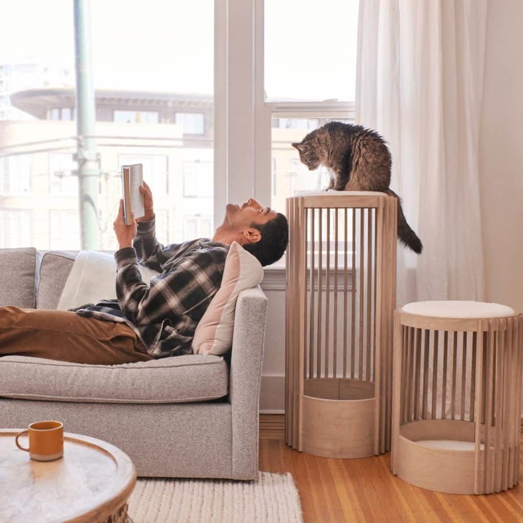 Tuft and Paw Cat Furniture Review