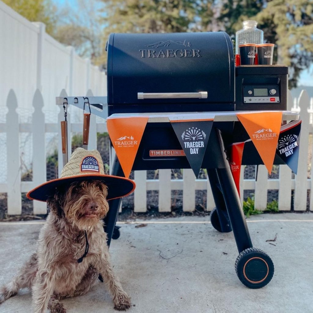Traeger Review
