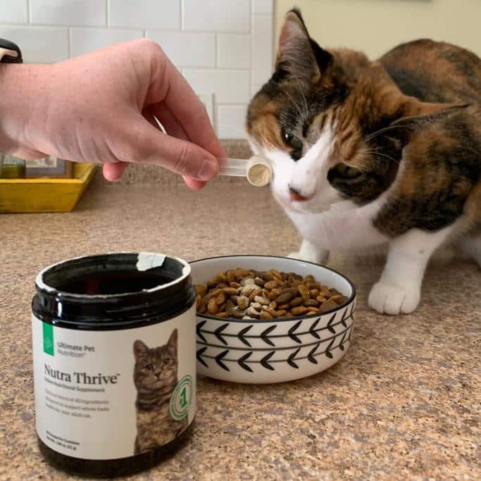 Ultimate Pet Nutrition Review
