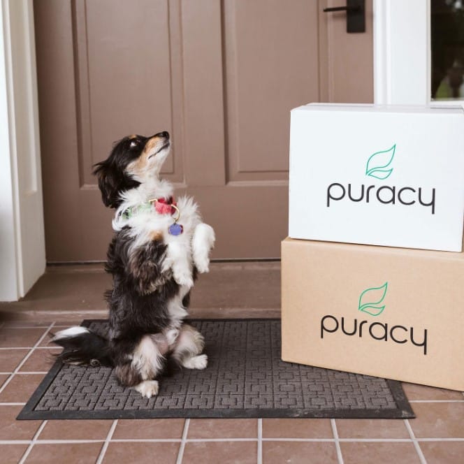 Puracy Review