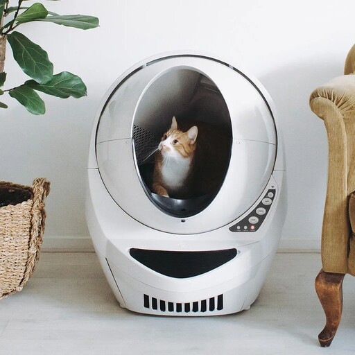 10 Best Self Cleaning Litter Boxes for Cat Owners in 2023