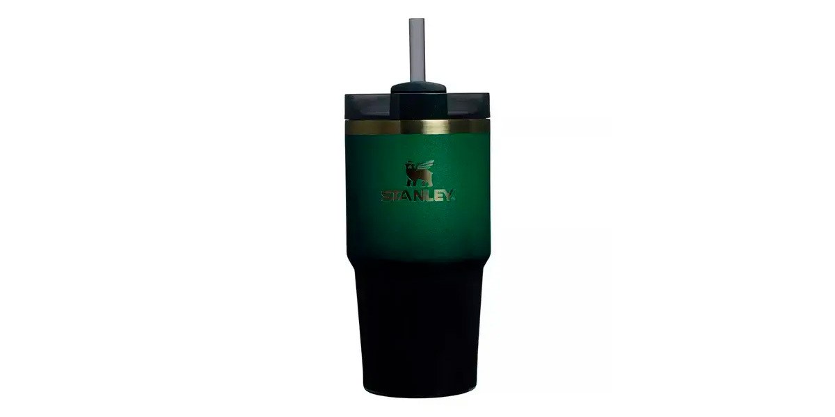 Stanley Tumbler Elphaba Stanley Tumbler Elphaba