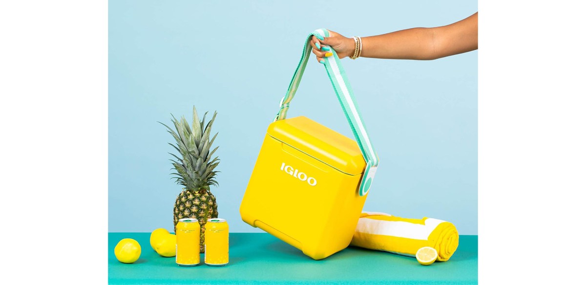 Igloo 11 Qt Tag Along Too Strapped Picnic Style Cooler